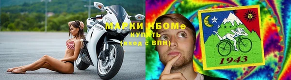 крисы Ельня