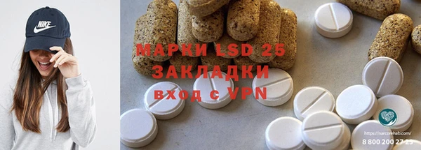 крисы Ельня