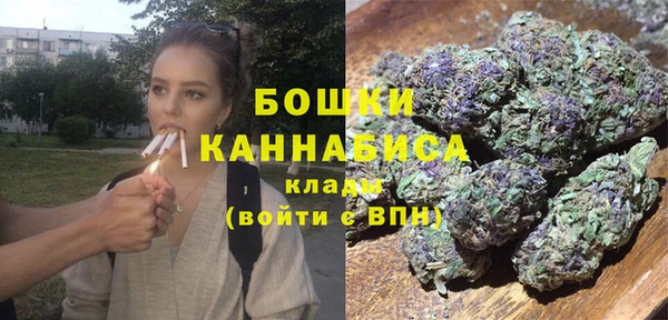крисы Ельня
