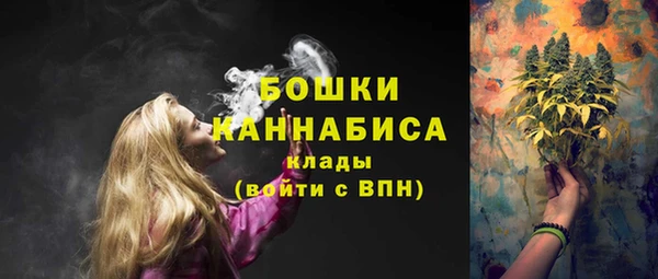 крисы Ельня