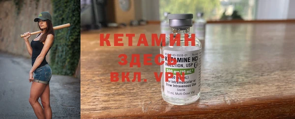 крисы Ельня