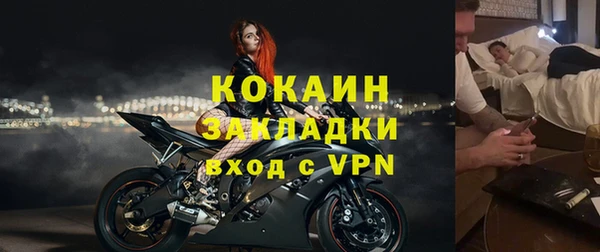 крисы Ельня
