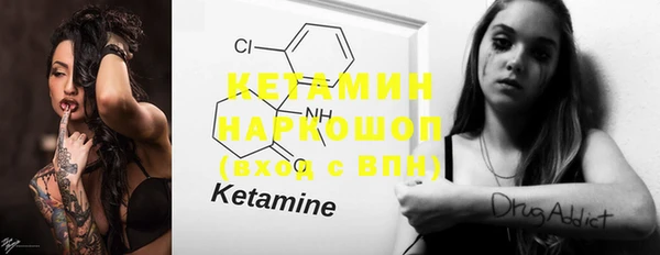 крисы Ельня