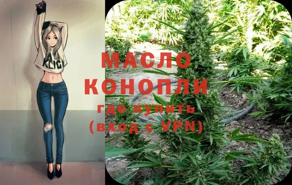 крисы Ельня