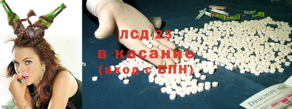 крисы Ельня