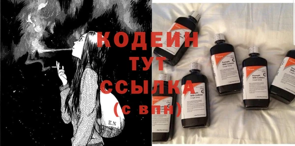 крисы Ельня