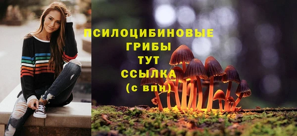 спиды Елабуга