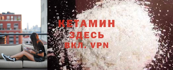 крисы Ельня