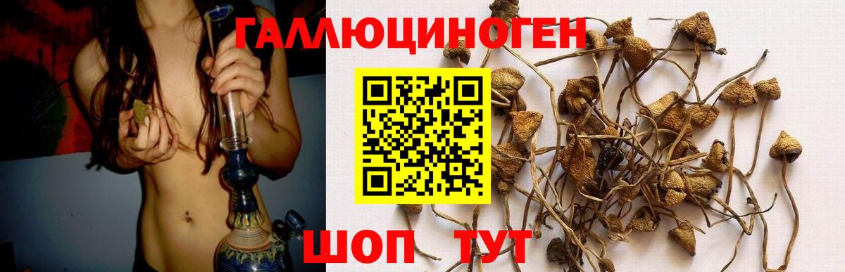Псилоцибиновые грибы мицелий Дюртюли
