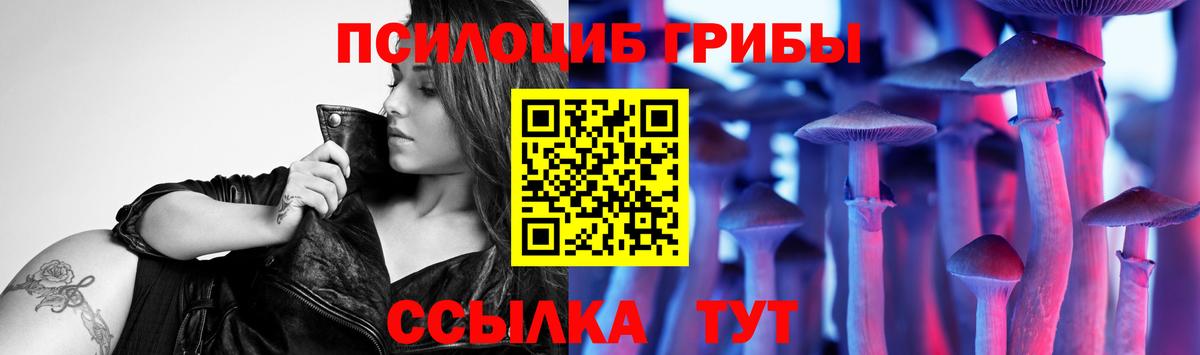 Дюртюли  Галлюциногенные грибы Psilocybe  Вход с VPN 